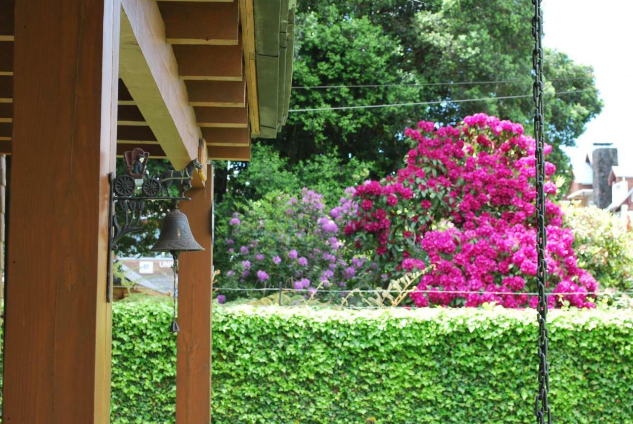 Frontera Pucon Hostel B&B Екстериор снимка